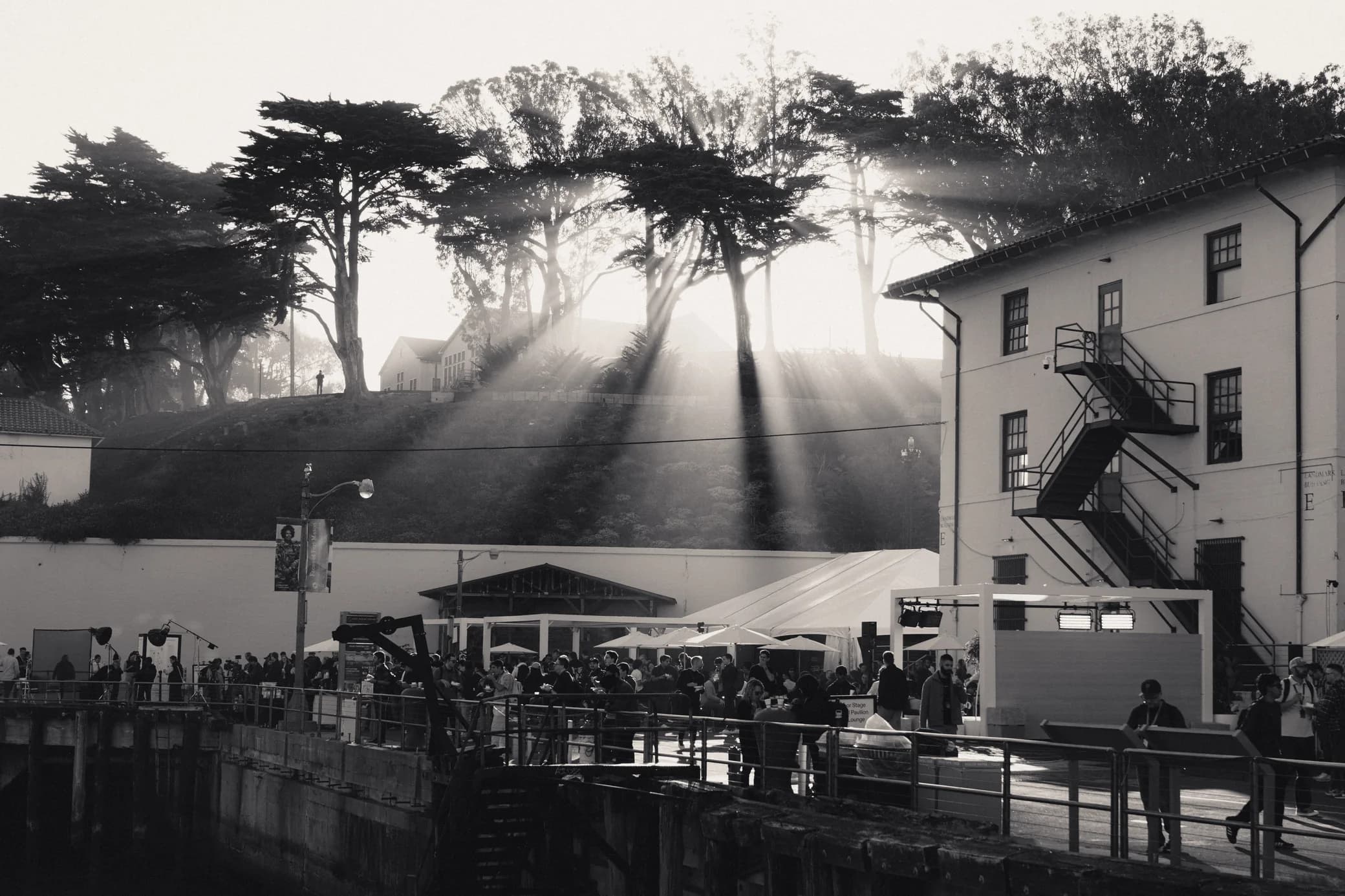 Black-and-white view of sunlight streaming through trees above a waterfront gathering